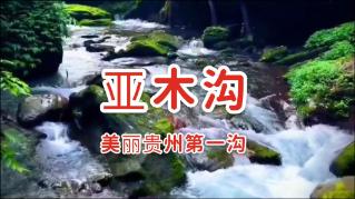 你们的车缺机油吗？我的车开两千多公里就缺机油了，这是杂回事
