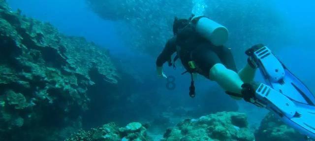 潍城区对接企业需求实现人才精准招引