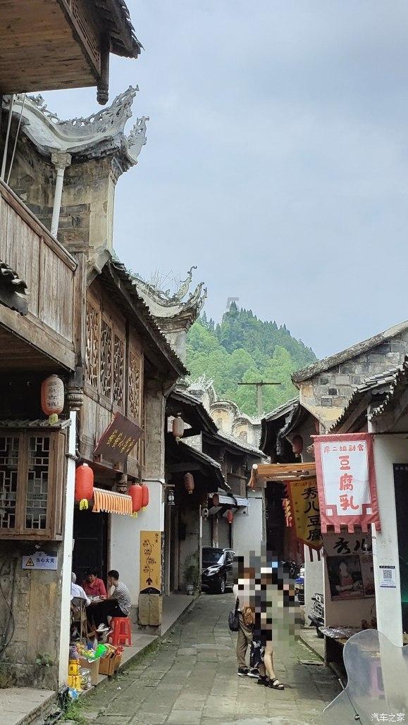 除虫大师